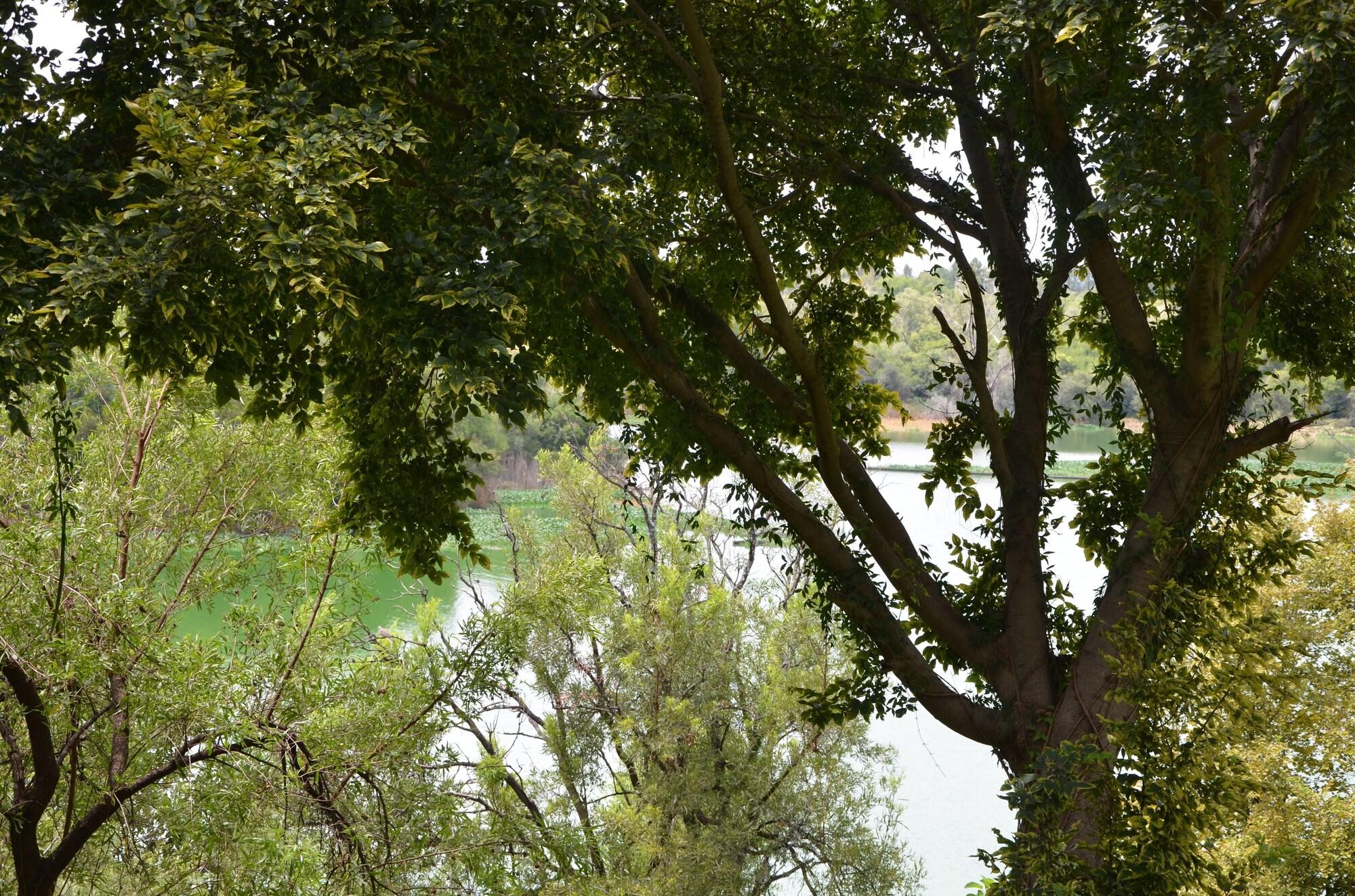 Premier Hotel Roodevalley Pretoria-Noord エクステリア 写真